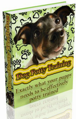 Product picture How to Train Dog Potty with PLR