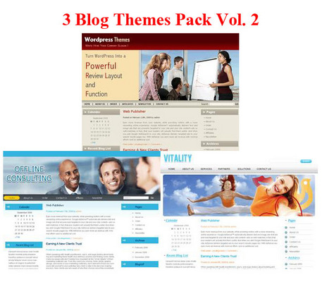 Product picture Buy 3 Blog Themes Pack with PLR